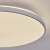 Borel Plafondlamp LED Wit, 1-licht