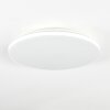 Borel Plafondlamp LED Wit, 1-licht