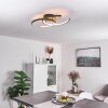 Guinea Plafondlamp LED Antraciet, 2-lichts