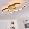 Guinea Plafondlamp LED Antraciet, 2-lichts