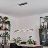 Radogna Hanglamp, Hanglamp LED Zilver, 2-lichts