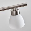 Ordan Hanglamp, Hanglamp LED Nikkel mat, 4-lichts