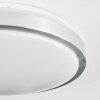 Sapioris Plafondlamp LED Nikkel mat, Wit, 1-licht