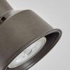 Pehefito Wandlamp, Muurspot Donkerbruin, 1-licht