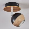 Haldor Plafondlamp, Plafondspot Bruin, Chroom, Zwart, 1-licht