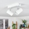 Gesteira Plafondlamp, Plafondspot Wit, 2-lichts