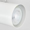 Gesteira Plafondlamp, Plafondspot Wit, 2-lichts