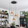 Grovsta Hanglamp, Kogellampje, Hanglamp Goud, Zwart, 3-lichts