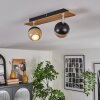 Haldor Plafondlamp, Plafondspot Bruin, Chroom, Zwart, 2-lichts