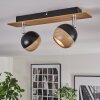 Haldor Plafondlamp, Plafondspot Bruin, Chroom, Zwart, 2-lichts