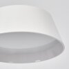 Falon Bureaulamp, Tafellamp, Leeslamp LED Wit, 1-licht