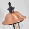 Gascon Wandlamp voor buiten, Wandlamp Koperkleurig, Zwart, 1-licht