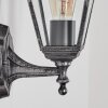 Naofe Wandlamp voor buiten, Wandlamp Zwart, Zilver, 1-licht