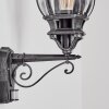 Lentua Wandlamp voor buiten, Wandlamp Zwart, Zilver, 1-licht, Bewegingsmelder