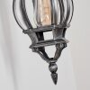 Lentua Wandlamp voor buiten, Wandlamp Zwart, Zilver, 1-licht