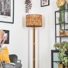 Cando Staande lamp Bruin, Natuurlijke kleuren, Zwart, 1-licht