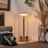 Viada Bureaulamp, Tafellamp LED Chroom, Nikkel mat, 1-licht