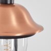 Gascon Wandlamp voor buiten, Wandlamp Koperkleurig, Zwart, 1-licht