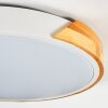 Cadaixo Plafondlamp, Paneel LED Wit, 1-licht, Afstandsbediening