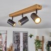 Gesteira Plafondlamp, Wandlamp Antraciet, Koperkleurig, 4-lichts, Afstandsbediening