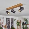 Gesteira Plafondlamp, Wandlamp Antraciet, Koperkleurig, 4-lichts, Afstandsbediening