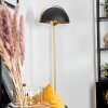 Guttsta Plafondlamp, Staande lamp Goud, Zwart, 4-lichts