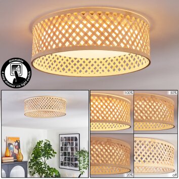 Barroco Plafondlamp LED Natuurlijke kleuren, Wit, 1-licht