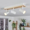 Gesteira Plafondlamp, Hanglamp, Staande lamp Goud, Zwart, 1-licht