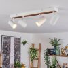 Gesteira Plafondlamp, Hanglamp, Staande lamp Hout licht, Zwart, 4-lichts