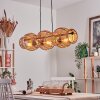 Cardeira Hanglamp, Hanglamp Zwart, 4-lichts