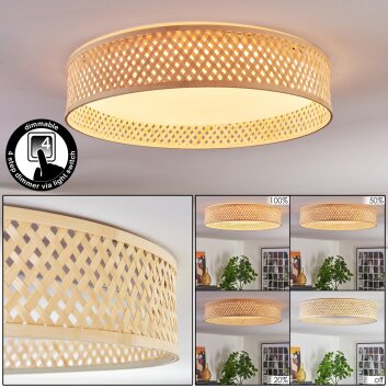 Barroco Plafondlamp LED Natuurlijke kleuren, Wit, 1-licht