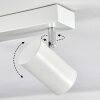 Gesteira Plafondlamp, Plafondspot Chroom, Wit, 6-lichts