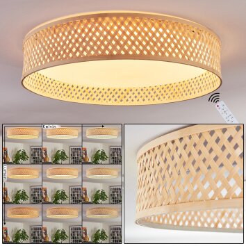 Barroco Plafondlamp LED Natuurlijke kleuren, Wit, 1-licht, Afstandsbediening