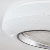 Dayen Plafondlamp LED Zilver, 1-licht, Afstandsbediening