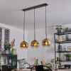 Ripoll Hanglamp, Kogellampje, Hanglamp Goud, Duidelijk, 3-lichts