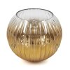 Ripoll Reserve glas Goud, Duidelijk