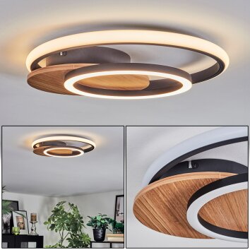 Rapoila Plafondlamp LED houtlook, Zwart, 1-licht