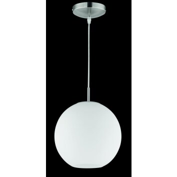 Reality MOON Hanglamp Nikkel mat, 1-licht