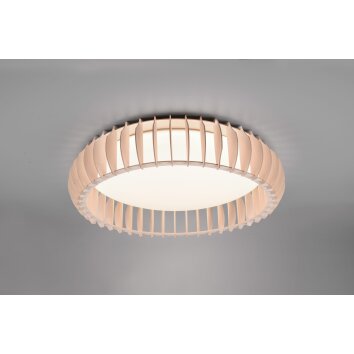 Reality Monte Plafondlamp LED Wit, 1-licht, Afstandsbediening