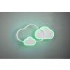 Reality Cloudy Plafondlamp LED Wit, 1-licht, Afstandsbediening, Kleurwisselaar