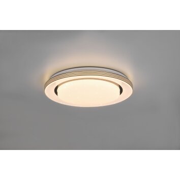 Reality Atria Plafondlamp LED Zwart, Wit, 1-licht, Afstandsbediening