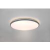 Reality Limbus Plafondlamp LED Titan, 1-licht