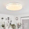 Savardeix Plafondlamp LED Chroom, Wit, 1-licht, Afstandsbediening, Kleurwisselaar