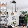 Ripoll Hanglamp, Kogellampje, Hanglamp, Cluster hanglamp Chroom, Goud, Duidelijk, Koperkleurig, Rookkleurig, 3-lichts