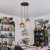 Ripoll Hanglamp, Kogellampje, Hanglamp, Cluster hanglamp Chroom, Goud, Duidelijk, Koperkleurig, Rookkleurig, 3-lichts