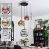 Ripoll Hanglamp, Kogellampje, Hanglamp, Cluster hanglamp Chroom, Goud, Duidelijk, Koperkleurig, Rookkleurig, 3-lichts