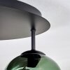 Ripoll Plafondlamp, Kogellampje Blauw, Groen, Koperkleurig, 5-lichts