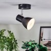 Farel Plafondlamp, Plafondspot Chroom, Zwart, 1-licht