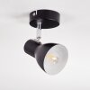 Farel Plafondlamp, Plafondspot Chroom, Zwart, 1-licht