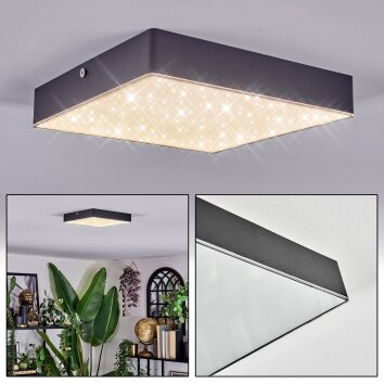 Esmar Plafondlamp LED Zwart, 1-licht